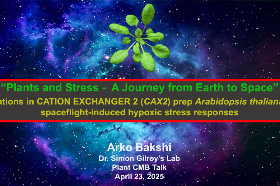 Arko Bakshi