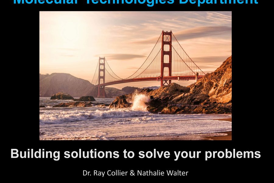 Ray Collier